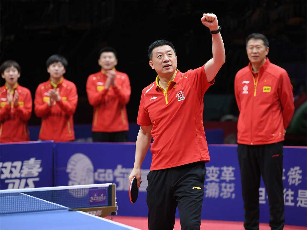 可能会表现 可能会表现